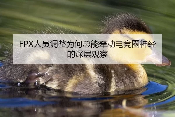 FPX人员调整为何总能牵动电竞圈神经的深层观察